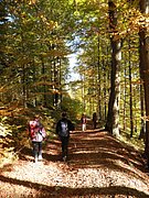 PA100064.JPG