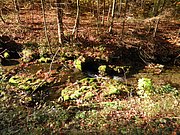 PA100066.JPG