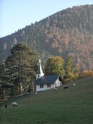 PA100070.JPG