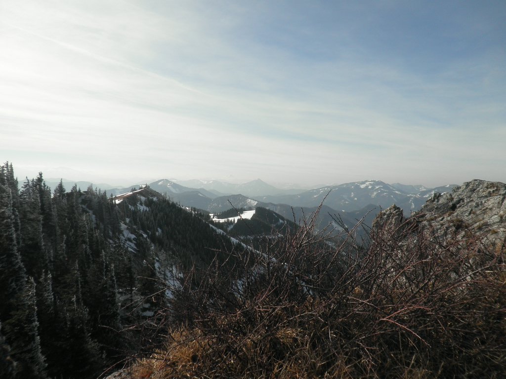 P3030031.JPG