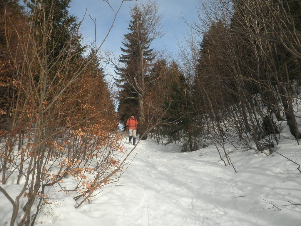 P3030042.JPG
