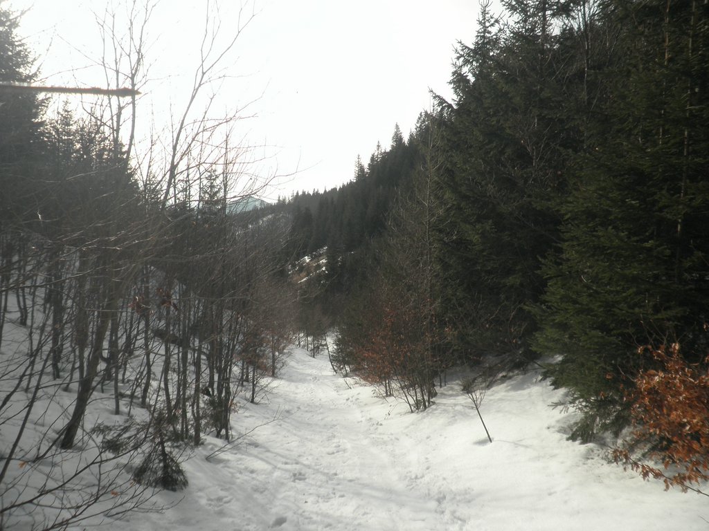 P3030043.JPG
