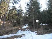 P3030003.JPG