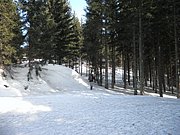 P3030006.JPG