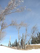 P3030018.JPG