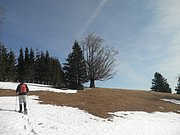 P3030019.JPG