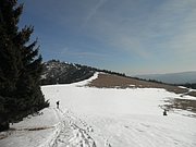 P3030020.JPG