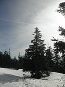 P3030025.JPG
