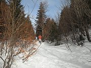 P3030042.JPG