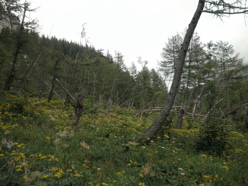 P8060011.JPG