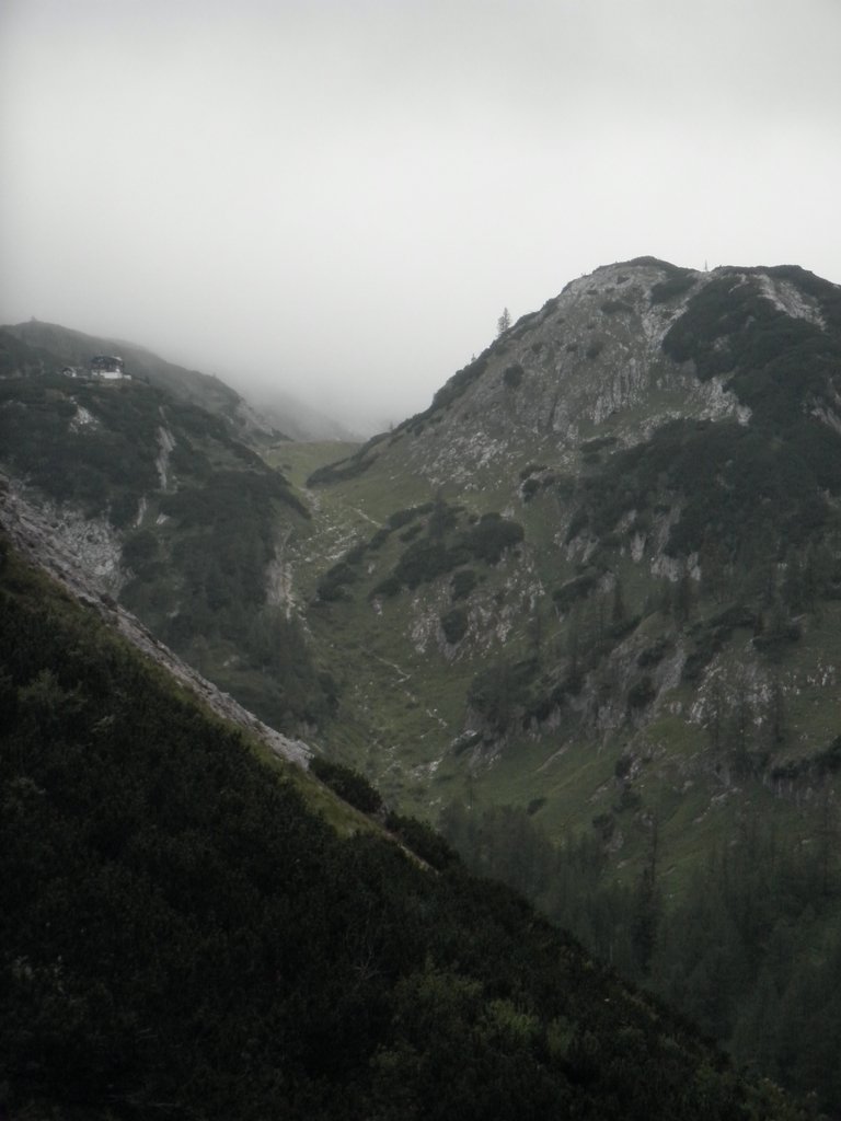 P8060012.JPG