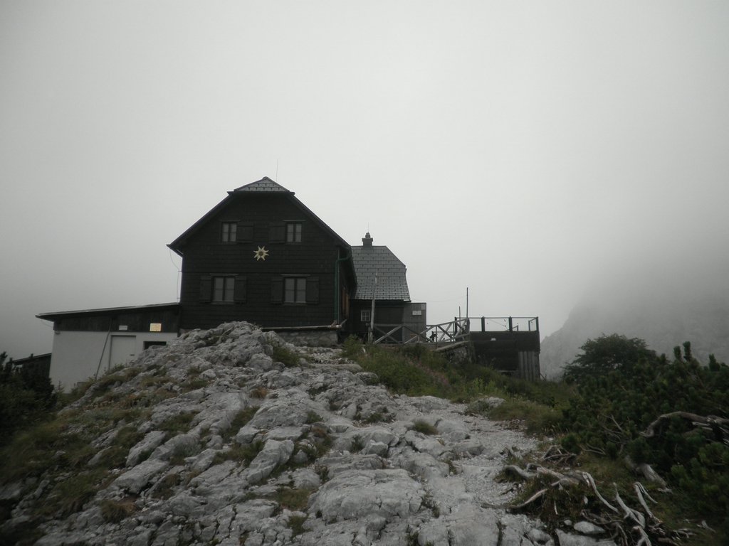 P8060020.JPG