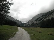 P8060003.JPG
