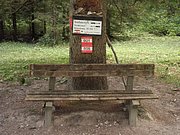 P8060006.JPG