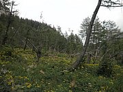 P8060011.JPG