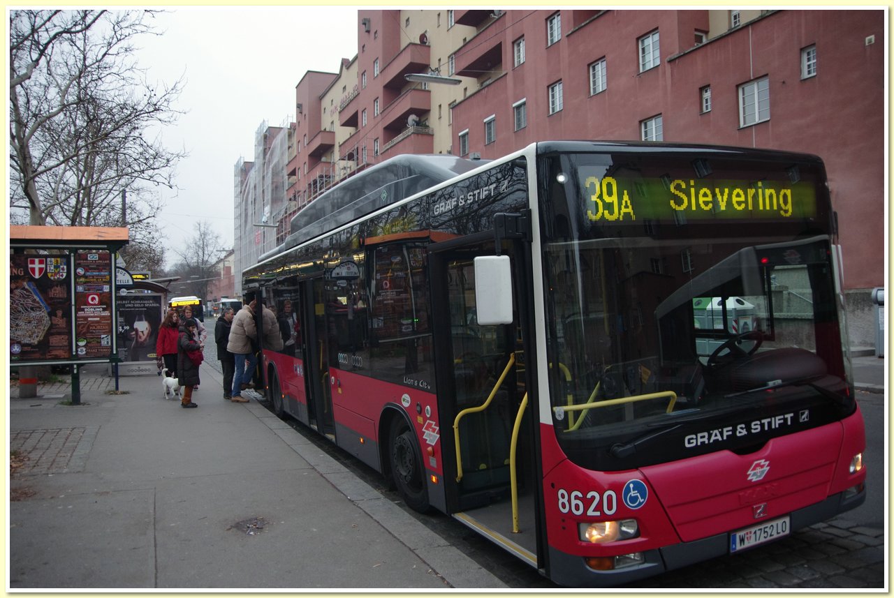 IMGP3064.JPG