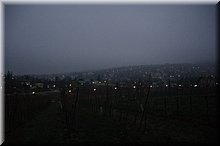IMGP3073.JPG