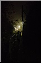 IMGP3216.JPG