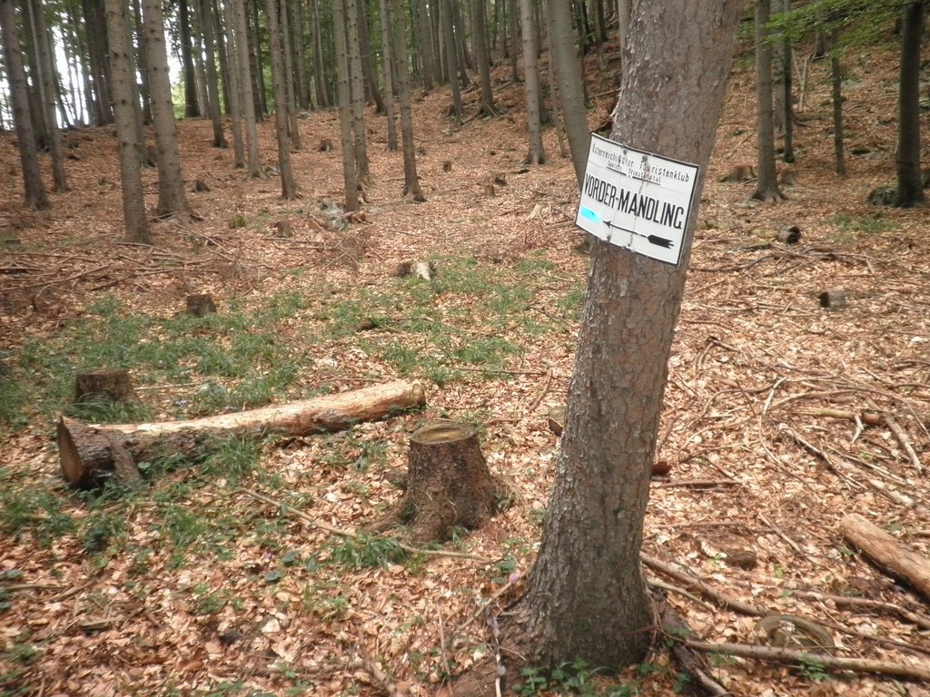 P9130010.JPG