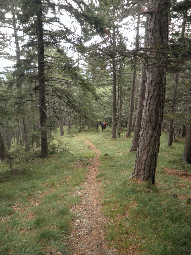 P9130023.JPG