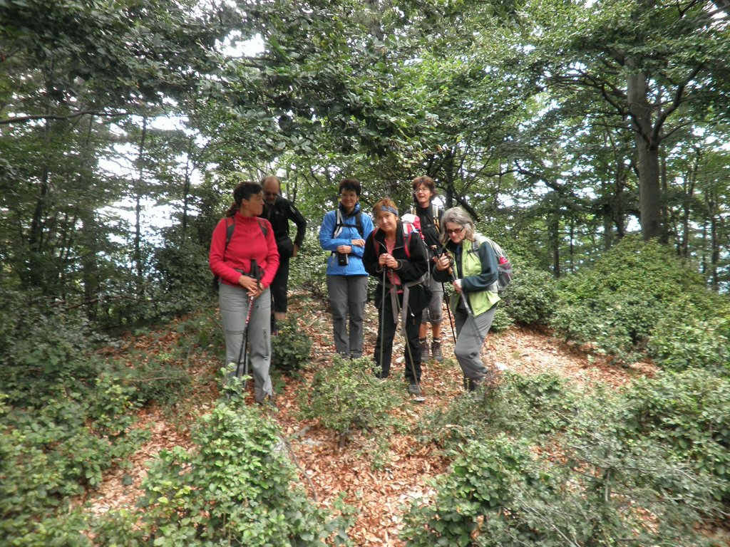 P9130041.JPG