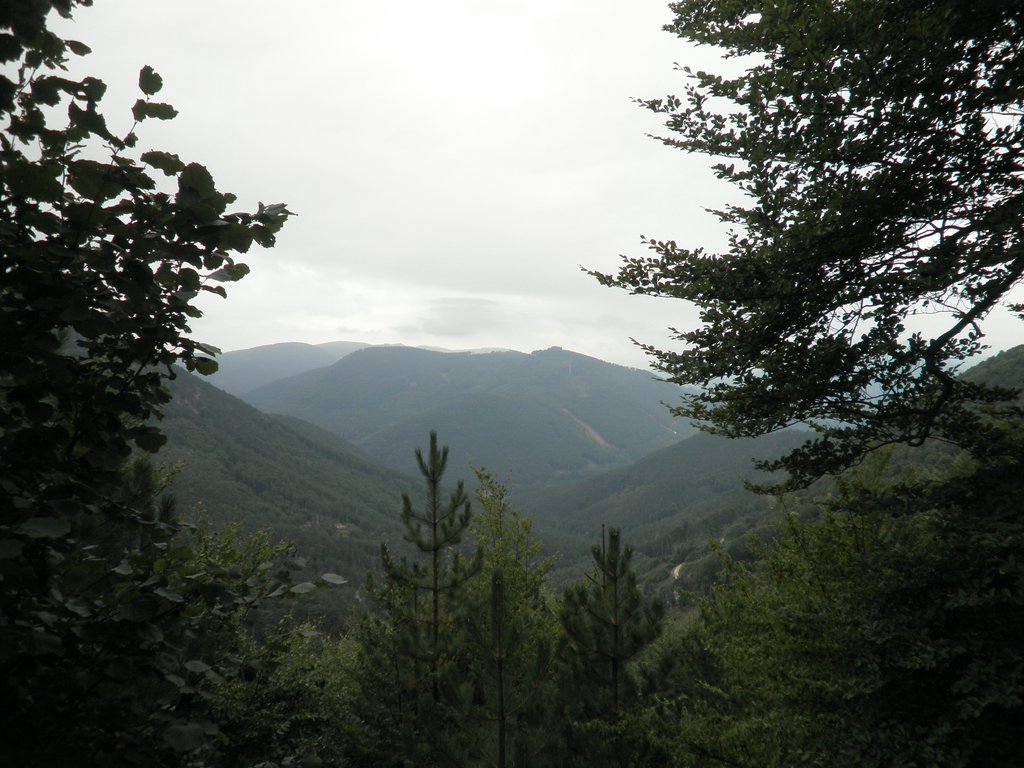 P9130042.JPG