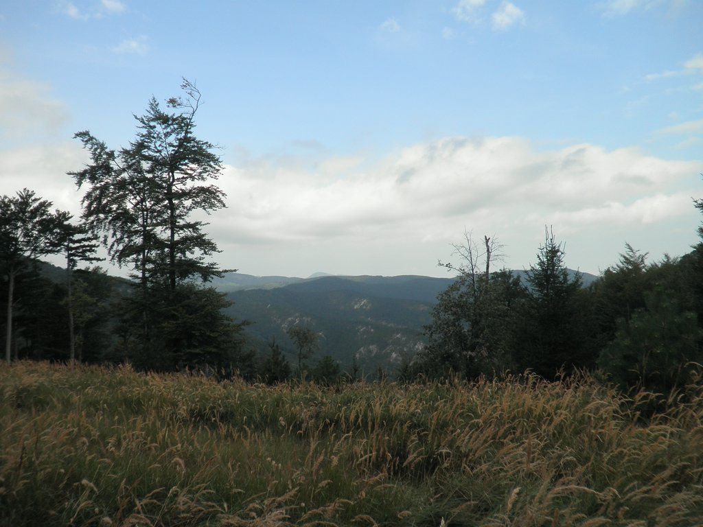 P9130045.JPG