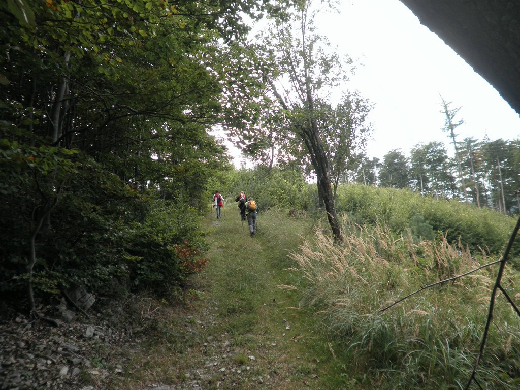 P9130048.JPG
