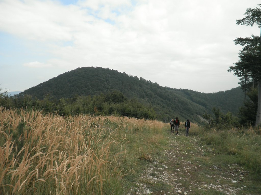 P9130052.JPG