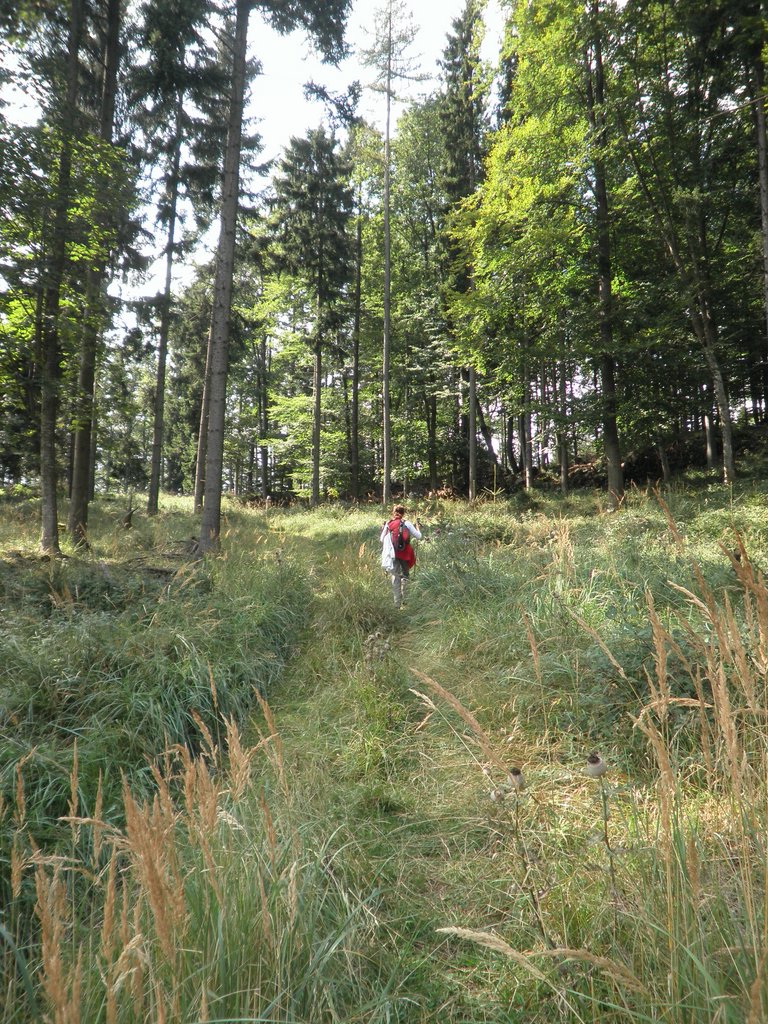 P9130071.JPG