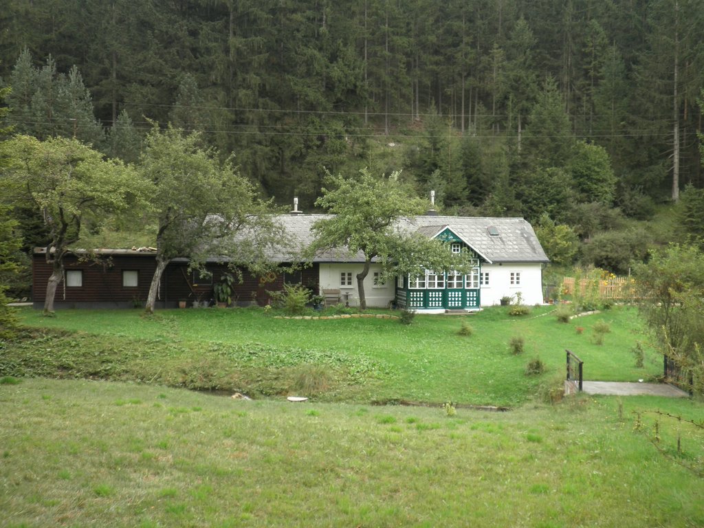 P9130103.JPG