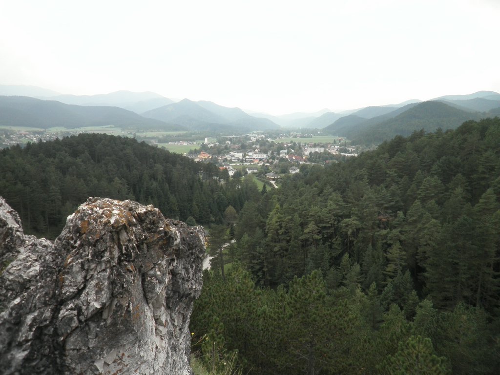P9130114.JPG
