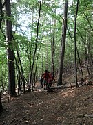 P9130004.JPG