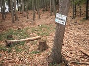 P9130010.JPG