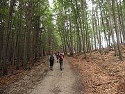 P9130011.JPG