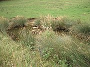 P9130013.JPG