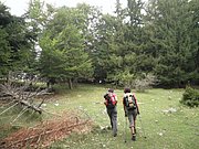 P9130017.JPG