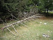P9130018.JPG