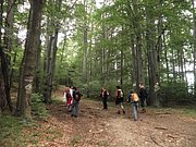 P9130026.JPG