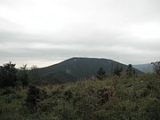 P9130034.JPG