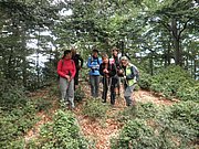 P9130041.JPG