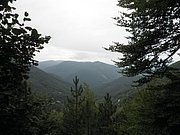 P9130042.JPG