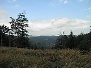 P9130045.JPG