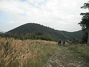 P9130052.JPG