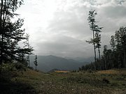 P9130060.JPG