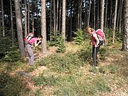 P9130061.JPG