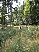 P9130071.JPG