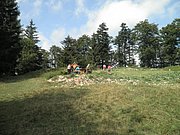 P9130079.JPG