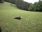 P9130092.JPG
