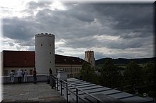IMGP6181.JPG